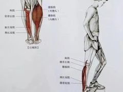 -加伍磅健身(千树店)