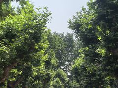 -上海孙中山故居纪念馆