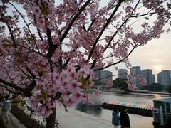 -新江湾城公园