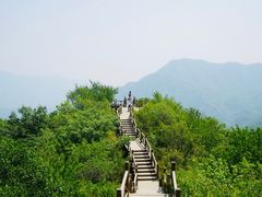 -大岭沟猕猴桃谷风景区