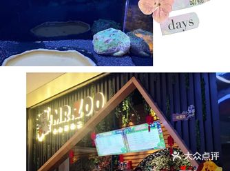 六一儿童节带宝宝上小小动物元，团购好划算！
