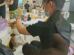 -怪兽屋·羊驼·猫咖·狗咖(俊华广场店)