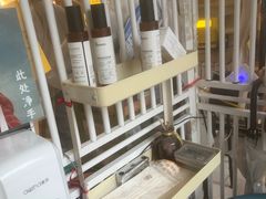 -平行世界·猫咖(首经贸店)