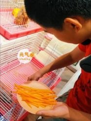 -Moni星球萌宠·小马宝莉·灵蛇·高端高阶全萌宠互动体验俱乐部(红豆国际广场店)