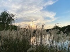 -嘉北郊野公园