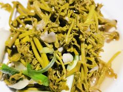 木芽菜-仙蘑洞