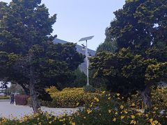 -蝴蝶泉公园