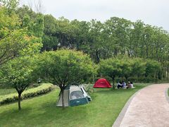 -昆山城市生态森林公园