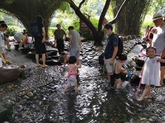 -成都市活水公园