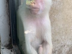 -常州淹城野生动物世界