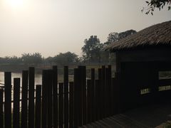 -福田红树林生态公园