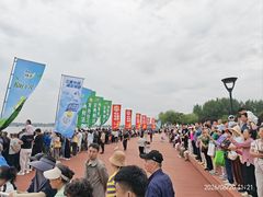 -丁香湖公园
