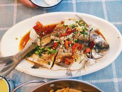 清蒸白水鱼-家的味道餐厅·新鲜实惠