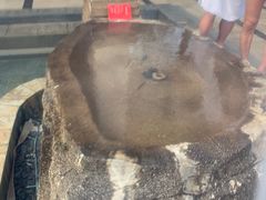 -颐和澜悦欢乐水世界(原颐和温泉城)