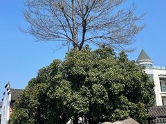 -东梓关景区村庄