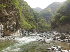 -黑河国家森林公园