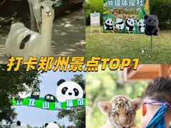 -五龙山野生动物王国