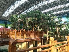 -沈阳龙润夏宫温泉水乐园