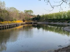 -云岗森林公园
