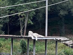 -宁波野生动物园