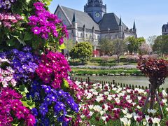 -荷兰花海