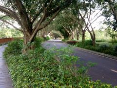 -大屏嶂森林公园
