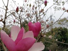 -晓港公园