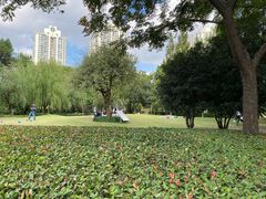 -苏州河梦清园环保主题公园