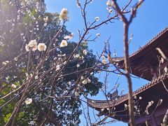 -钱王祠