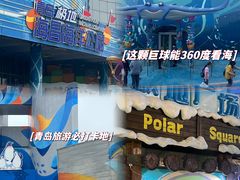 -海合安青岛极地海洋公园
