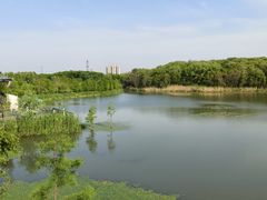 -昆山城市生态森林公园