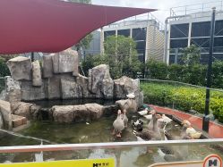 -造物庄园 萌宠纪(苏州湾歌林公园店)