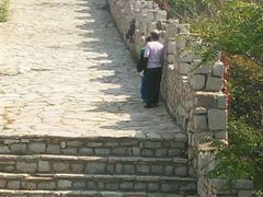 -原山国家森林公园