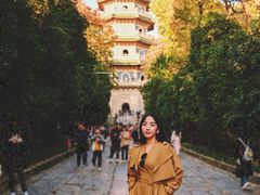 -灵谷景区