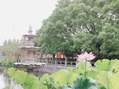 -洛阳白马寺