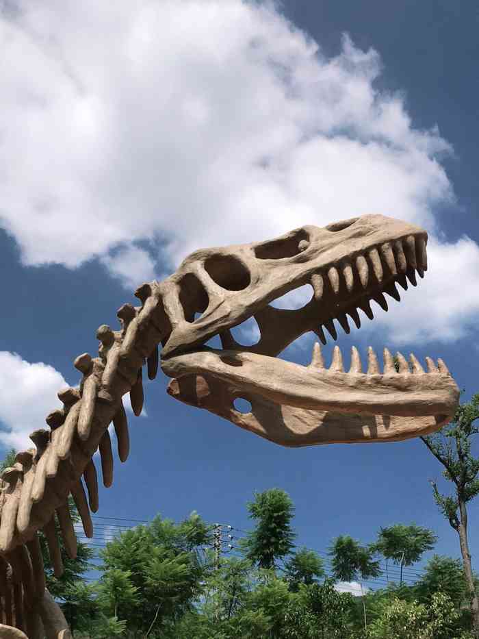 恐龙山服务区-"往滇西方向行驶的汽车绝大部分都会在昆楚高.