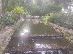 -成都市活水公园