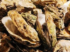 -禾斗海鲜自助(市南银座店)