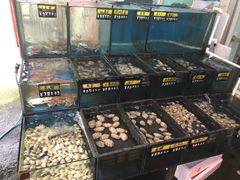 -蚝专家