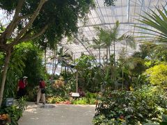 -北京植物园-展览温室