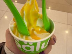 -Salud撒露欧洲冻酸奶(蓝色港湾店)