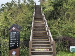 -江南天池