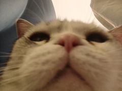 -平行世界·猫咖(首经贸店)