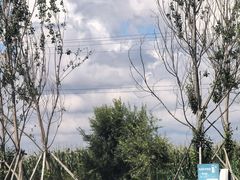 -长白山万达锦华套房酒店