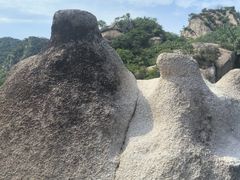 -大岭沟猕猴桃谷风景区