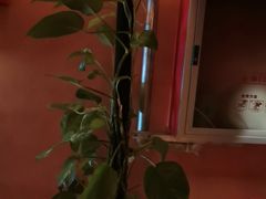 -霖公馆SPA·足道(普善路店)