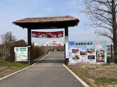 -广富林郊野公园