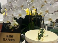 -杜哈夫DOUX RÊVE·生日蛋糕(日月光店)