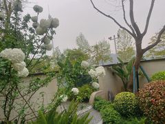 -金海湾滨江公园