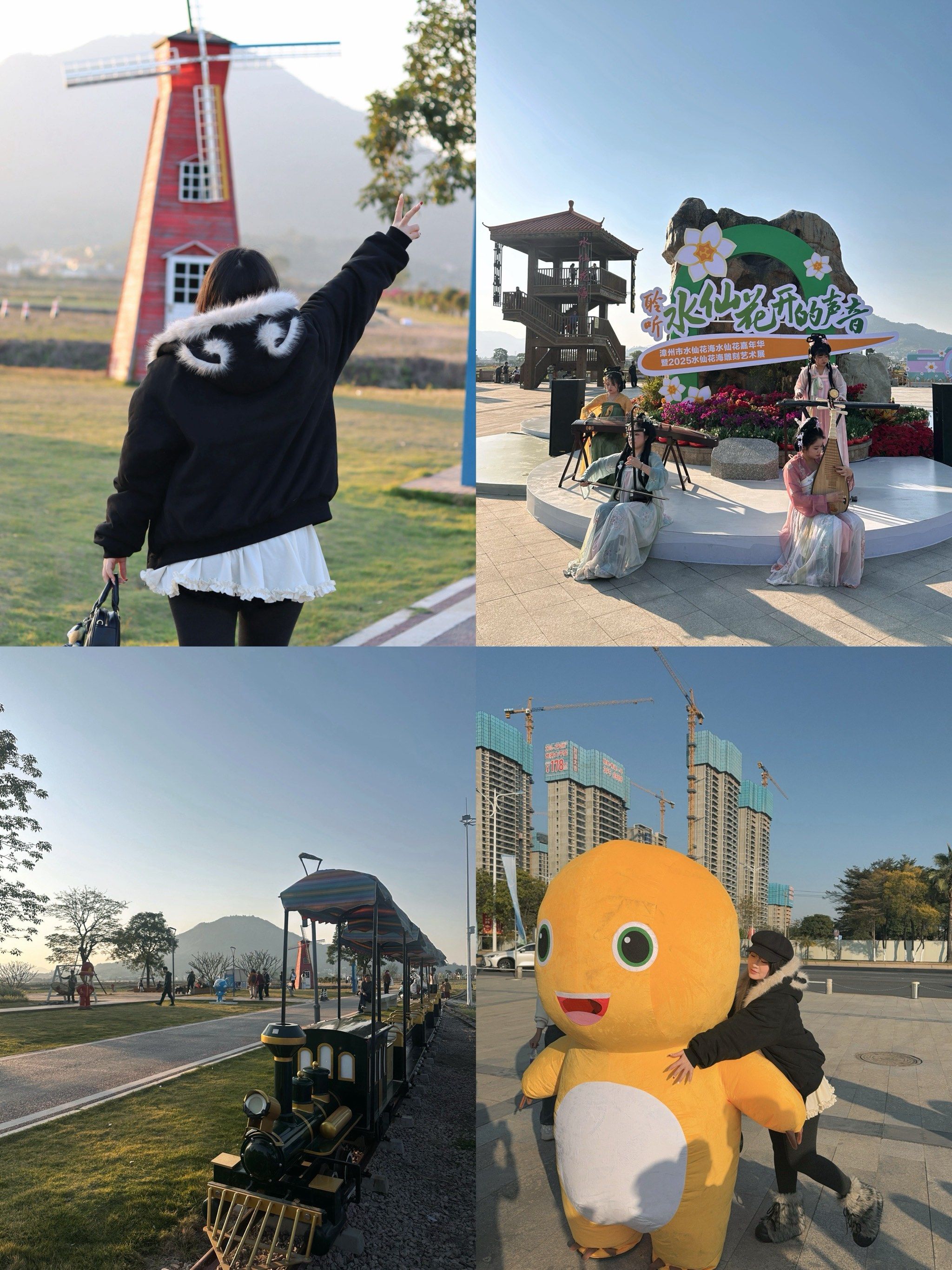 漳州人民都收到通知了吗!水仙花海好美